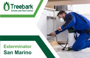 Exterminator Under The Sink For San Marino Pest Control