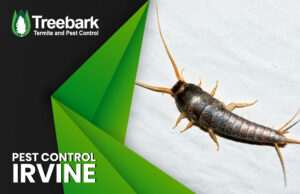 Controlling Silverfish and Pests in Irvine