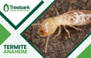 Termite Worker With Treebark Logo and Termite Anaheim Text