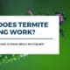 How does termite tenting work_