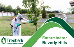 Exterminator-Beverly-Hills