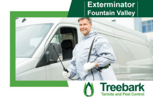 Exterminator-Fountain-Valley