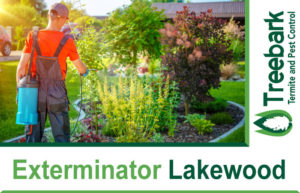 Exterminator-Lakewood