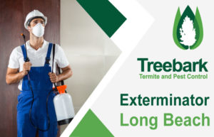 Exterminator-Long-Beach