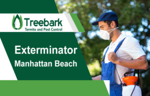 Exterminator-Manhattan-Beach