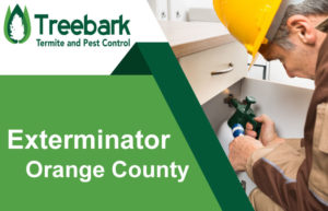 Exterminator-Orange-County