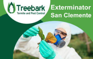 Exterminator-San-Clemente