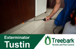 Exterminator-Tustin