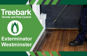 Exterminator-Westminster