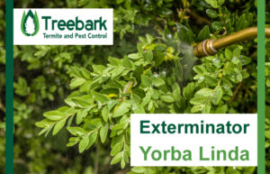 Exterminator-Yorba-Linda
