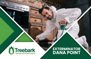 Exterminator-dana-point