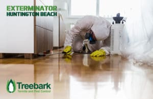 Exterminator-huntington-beach