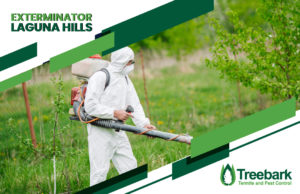 Exterminator-laguna-hills