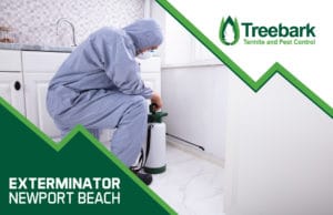 Exterminator-newport-beach