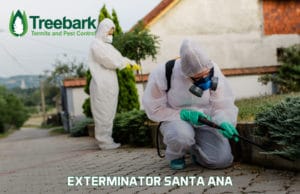 Exterminator-santa-ana