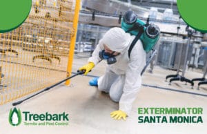 Exterminator-santa-monica