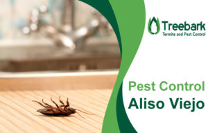 Pest-Control-Aliso-Viejo