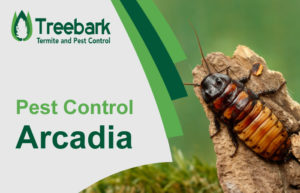 Pest-Control-Arcadia