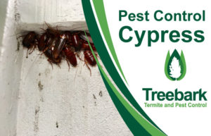 Pest-Control-Cypress