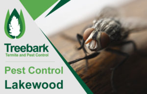 Pest-Control-Lakewood