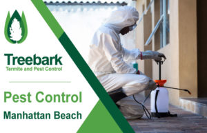 Pest-Control-Manhattan-Beach