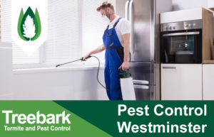 Pest-Control-Westminster