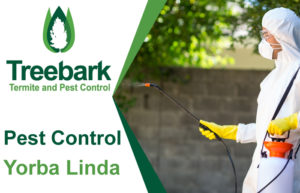 Pest-Control-Yorba-Linda