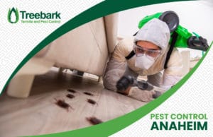 Pest-Control-anaheim