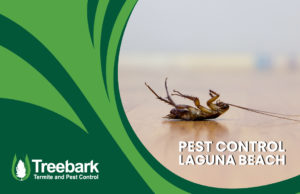 Pest-Control-laguna-beach