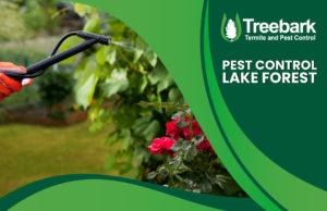 Pest-Control-lake-forest