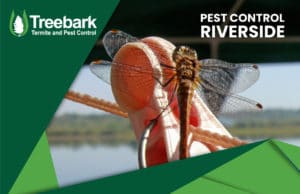 Pest-Control-riverside