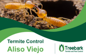 Termite-Control-Aliso-Viejo
