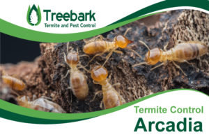 Termite-Control-Arcadia