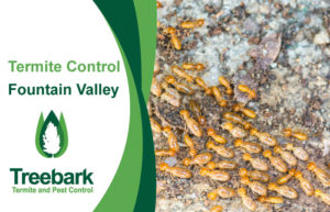 Termite-Control-Fountain-Valley