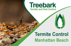Termite-Control-Manhattan-Beach