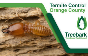 Termite-Control-Orange-County