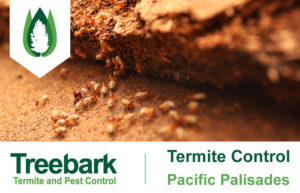 Termite-Control-Pacific-Palisades