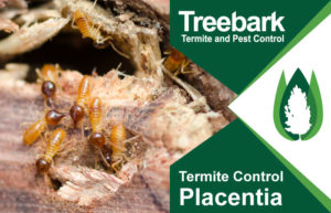 Termite-Control-Placentia