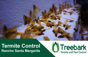 Termite-Control-Rancho-Santa-Margarita