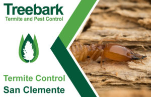 Termite-Control-San-Clemente.
