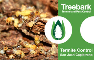 Termite-Control-San-Juan-Capistrano