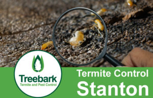 Termite-Control-Stanton