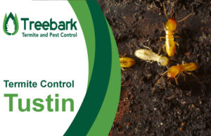 Termite-Control-Tustin