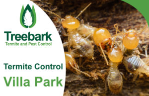 Termite-Control-Villa-Park