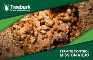 Termite-Control-mission-viejo.