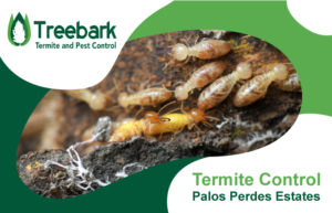 Termite-Control-palos-verdes-estates