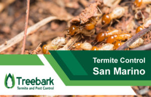 Termite-Control-san-marino