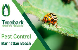 Pest-Control-Manhattan-Beach