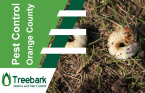Pest-Control-Orange-County