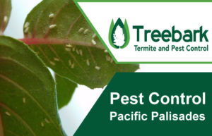 Pest-Control-Pacific-Palisades